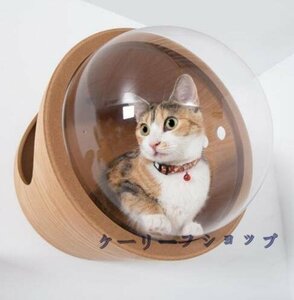 猫 キャットウォーク キャットステップ ベッド ハウス 壁付け 天然木 宇宙