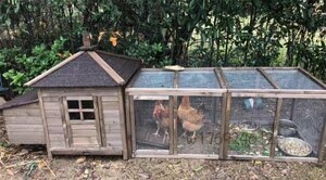 新品未使用 鶏小屋 屋外 庭用 ニワトリかご トリ小屋 別墅 ウサギの巣 ペット用品 鳥かご ニワトリ屋 アヒル 鳥かご ペット