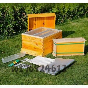  hard-to-find!. bee supplies breeding nest box .... breeding for nest box molasses . coating . bee apparatus nest frame type nest box molasses bee Mitsuba chi Japanese cedar wooden nest box 