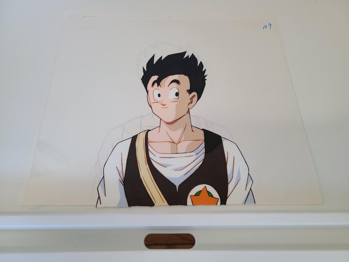 ドラゴンボール　悟飯　孫悟空　セル画 DBZ セル画(animation cel) セルvs SS悟飯(少年)