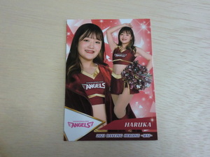 BBM 2023 舞　No.19 HARUKA　プロ野球チアリーダーカード　DANCING HEROINE