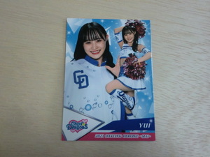 BBM 2023 舞　No.84 YUI　プロ野球チアリーダーカード　DANCING HEROINE