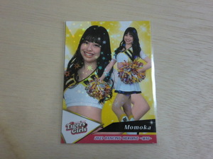 BBM 2023 舞　ホロpp　64 Momoka　TigersGirls 阪神タイガース プロ野球チアリーダーカード DANCING HEROINE