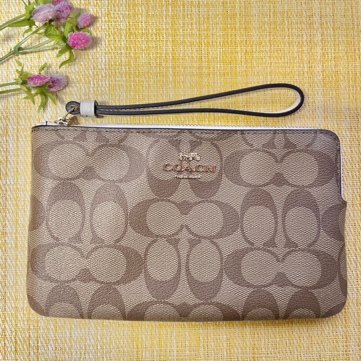 コーチ COACH シグネチャー ショルダーバッグ ポーチ付き F58316