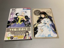 聖巫女の守護者 1～2巻/贄姫と獣の王 全15巻　友藤結　17冊セット　花とゆめCOMICS_画像5