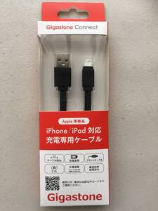 新品 絡みにくい 断線しにくい 強化フラット ケーブル ギガストーン アップル Apple 準拠品 iPhone iPad 充電 専用 Gigastone 構造特許品