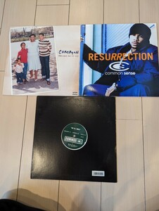 コモン センス common sense レコード アナログ まとめ 売り アルバム LP シングル 6th hiphop ヒップホップ 95 reminding セット R&B