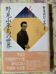 昭和俳句文学アルバム　野見山朱鳥の世界