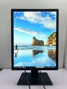 【良品】EIZO RadiForce MX216/ 液晶モニター/ DVI / A1-MX216