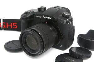 並品｜パナソニック LUMIX DC-GH5M 標準ズームレンズキット シャッター回数 約900回以下 γA5212-2Q2A