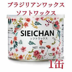 ブラジリアンワックス　ソフトワックス　1缶　ブラジリアン脱毛ワックス　送料込み-⑥