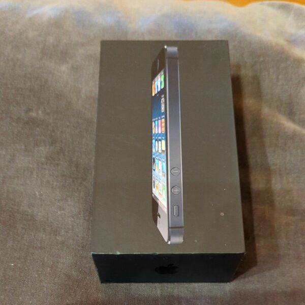 希少 美品 アップル アイフォンiPhone5 ケース ブラック