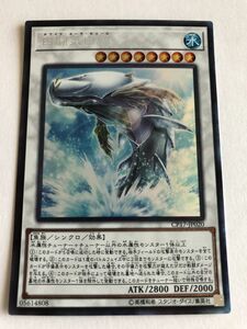 遊戯王　水　白闘気白鯨　コレクターズ