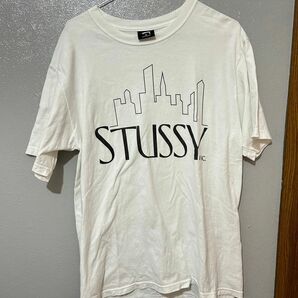 STUSSY ステューシー 半袖Tシャツ 男女兼用　USA ヴィンテージ Tシャツ ビックロゴ