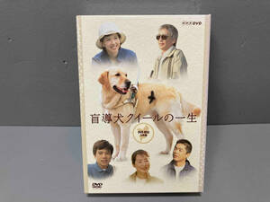 【外箱色褪せあり】DVD 盲導犬クイールの一生 DVD BOX