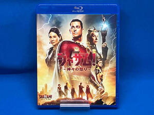 シャザム!~神々の怒り~(通常版)(Blu-ray Disc+DVD)