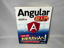 Angular超入門 掌田津耶乃_画像1