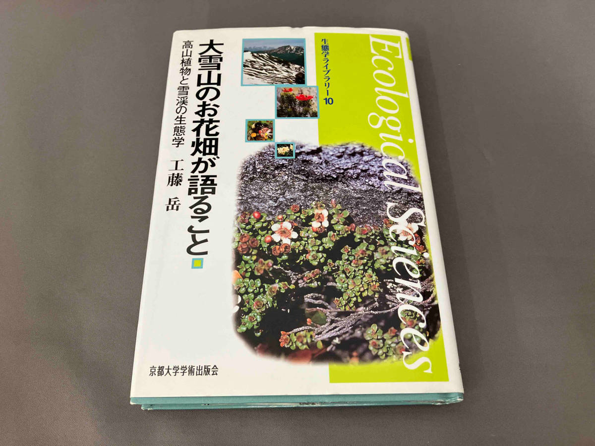 年最新ヤフオク!  雪渓の中古品・新品・未使用品一覧