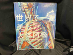  мир . самый прекрасный тело человека иллюстрированная книга Nara доверие самец 