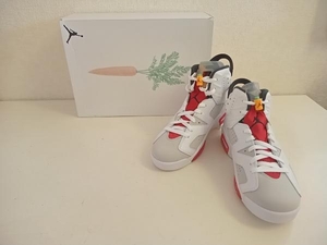 NIKE AIR JORDAN 6 ' Neutral Gray／Hare ' ナイキ エアジョーダン 6 ' ニュートラルグレー／ヘア ' スニーカー CT8529-062 26.5cm