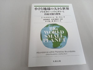 小さな地球の大きな世界 J.ロックストローム