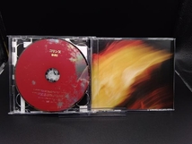 帯あり 10-FEET CD コリンズ(通常盤B)(2CD)_画像6
