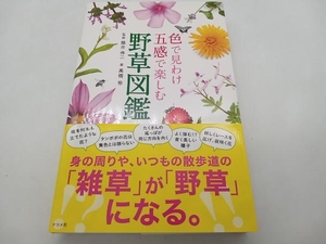 色で見わけ五感で楽しむ野草図鑑 高橋修 ナツメ社 ★ 店舗受取可