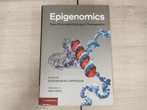 [ foreign book ]Epigenomics: From Chromatin Biology to Therapeutics