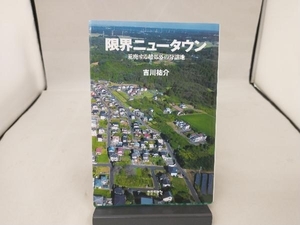 限界ニュータウン 吉川祐介