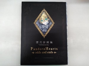 望月淳画集 Pandora Hearts 望月淳