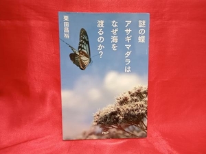 謎の蝶アサギマダラはなぜ海を渡るのか? 栗田昌裕