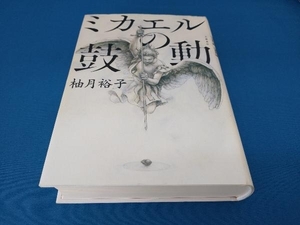 ミカエルの鼓動 柚月裕子