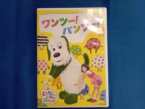 DVD NHK いないいないばあっ! ワンツー!パンツー!