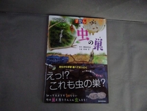 ずかん 虫の巣 見ながら学習調べてなっとく 岡島秀治　2015年初版発行_画像1