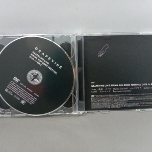 GRAPEVINE CD ALL THE LIGHT(初回限定盤)(DVD付)の画像5