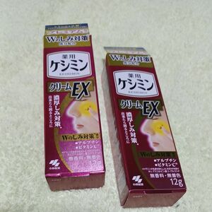 新品　未開封　未使用　小林製薬　薬用　ケシミンクリームEX　濃厚しみ対策　Wのしみ対策　アルブチン　ビタミンC　12g　２本セット