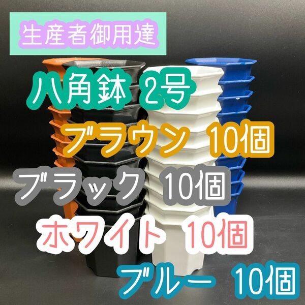 八角鉢 ◎2号◎4色 各10個 アガベ 多肉植物 プラ鉢 2寸 シャトル鉢 