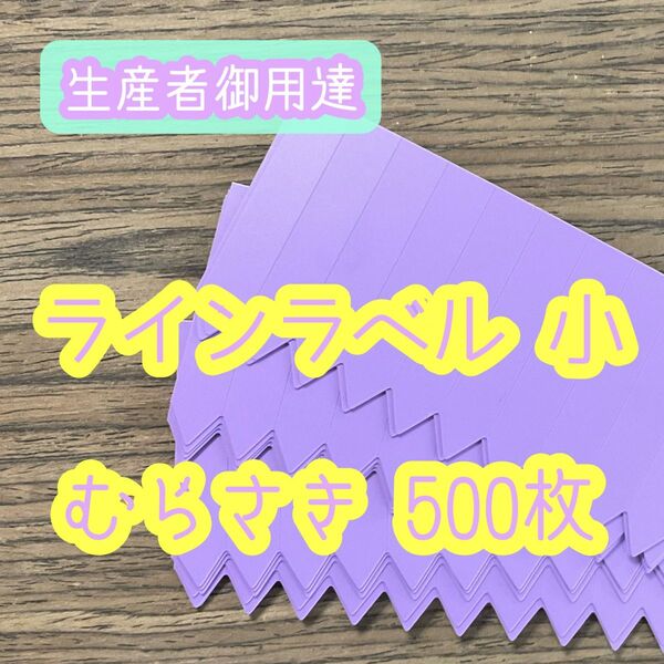 ラインラベル 小 パープル 500枚 園芸カラーラベル 多肉植物 エケベリア