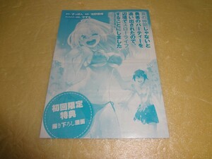 書き下ろし漫画　真の仲間じゃないと勇者のパーティーを追い出されたので、辺境でスローライフすることにしました 7巻初回限定特典