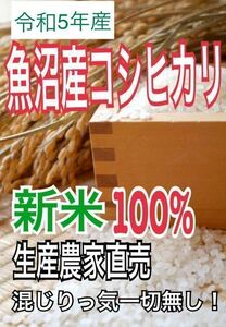 令和5年産　新米　魚沼産コシヒカリ　玄米　30kg 