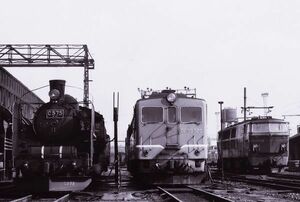 鉄道写真 SL C57 5 & DF50 570 & DD54 ディーゼル機関車 @梅小路 昭和45年 KG判（102mm×152mm）