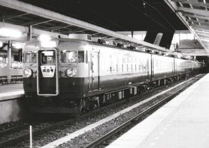 鉄道写真 165系電車 臨時列車 初詣成田号 L判（89mm×127mm）