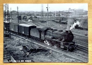 鉄道写真 SL 29657 東海道本線 稲沢駅 1969年撮影 L判（89mm×127mm）