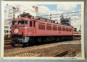 鉄道写真 臨時列車 エキスポライナー EF81 82 電気機関車 E判（82.5mm×117ｍｍ)