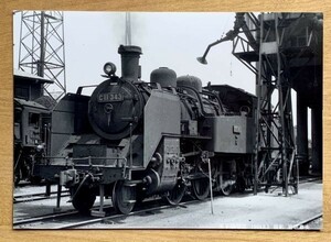 鉄道写真 SL C11 343 山陰本線 米子機関区 1969年撮影 L判（89mm×127mm）