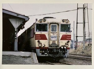 鉄道写真 特急 おおぞら キハ82系気動車 KG判（102mm×152mm）