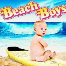 Beach Boys 中古 CD