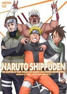 NARUTO ナルト 疾風伝 九尾掌握と因果なる邂逅の章 1 レンタル落ち 中古 DVD