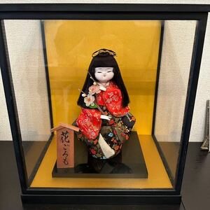  куклы kimekomi цветок около . японская кукла куклы ichimatsu Edo стеклянный кейс Japanese Doll Girl Glass case Japan