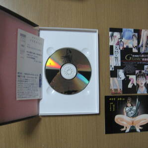 【CD-RON/Win95】八神ひろきフェティシズム/送料無料/G-tasteインタラクティブ原画集1の画像2